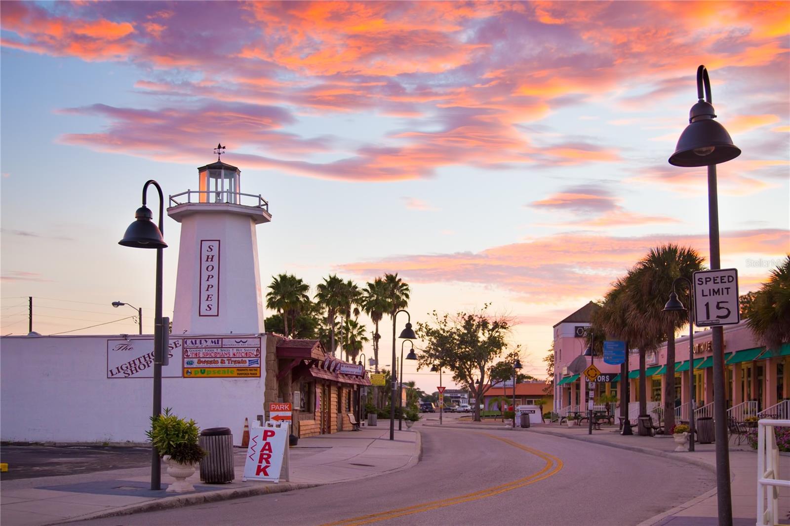 Tarpon Springs where you can enjoy a step back to the Greek Isles