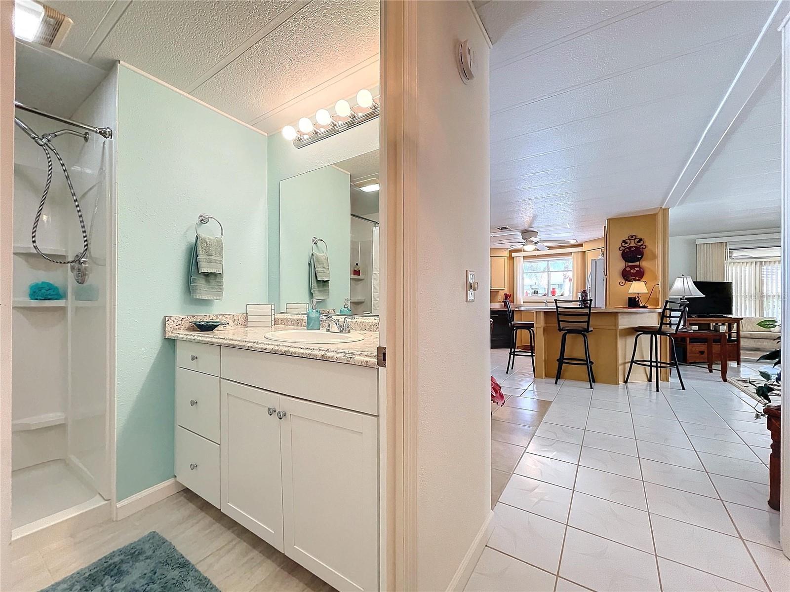 New Vanity and tub