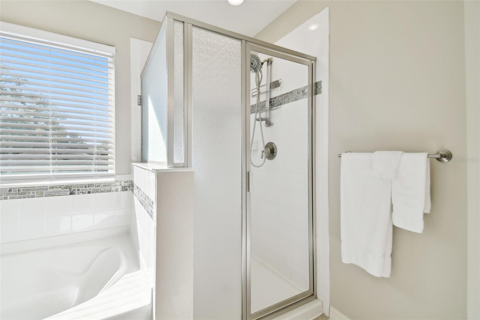 Master bathroom with stand up shower