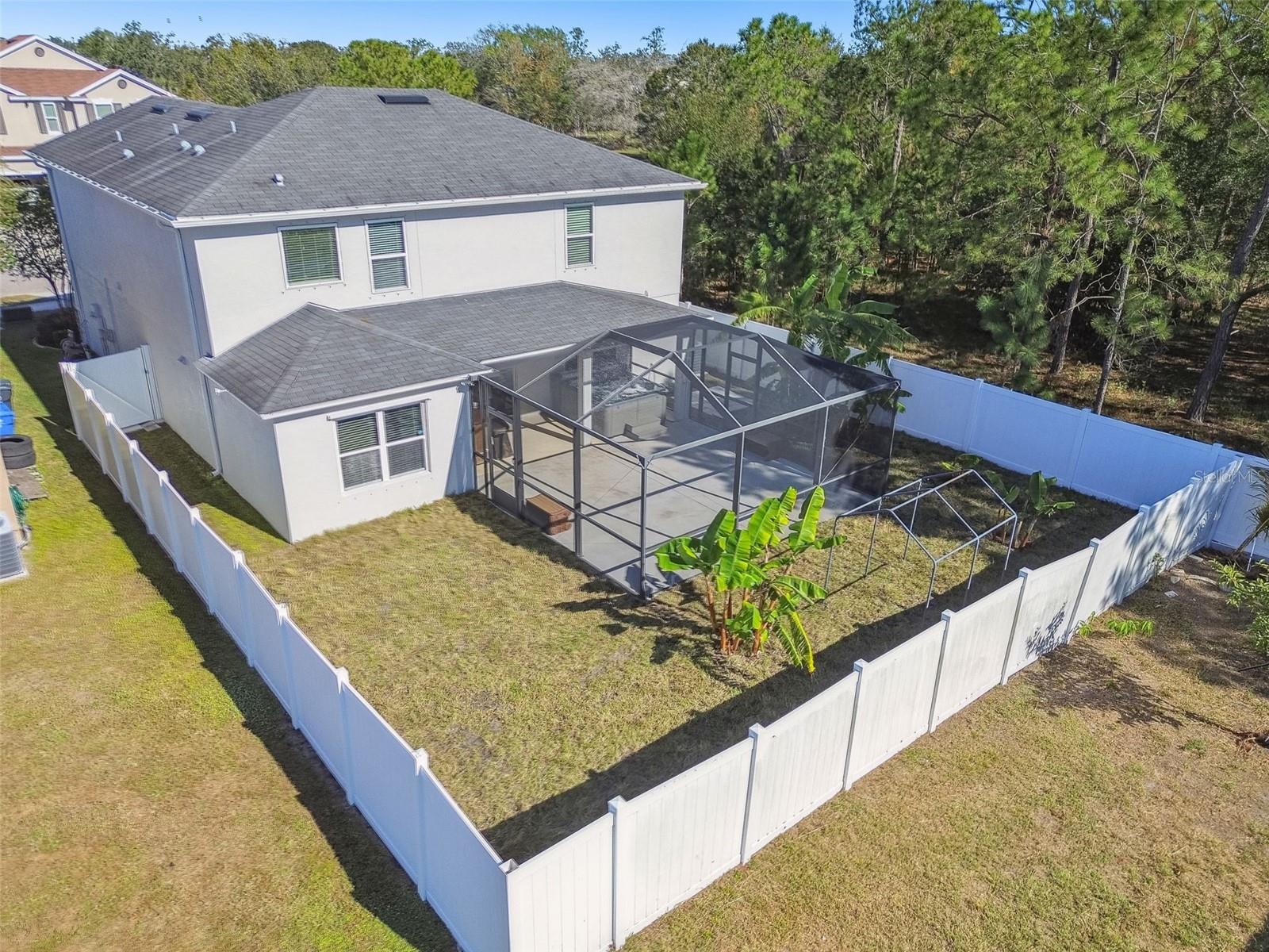 Large fenced backyard