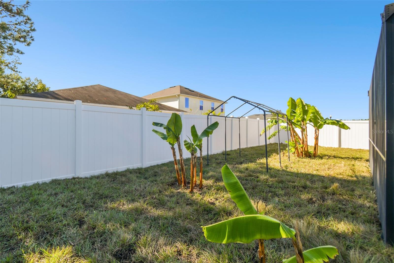 Vinal fencing through out