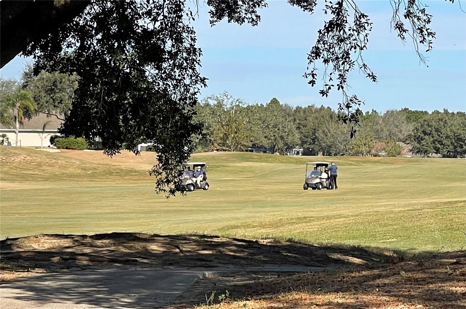 Golfers on Golf Course