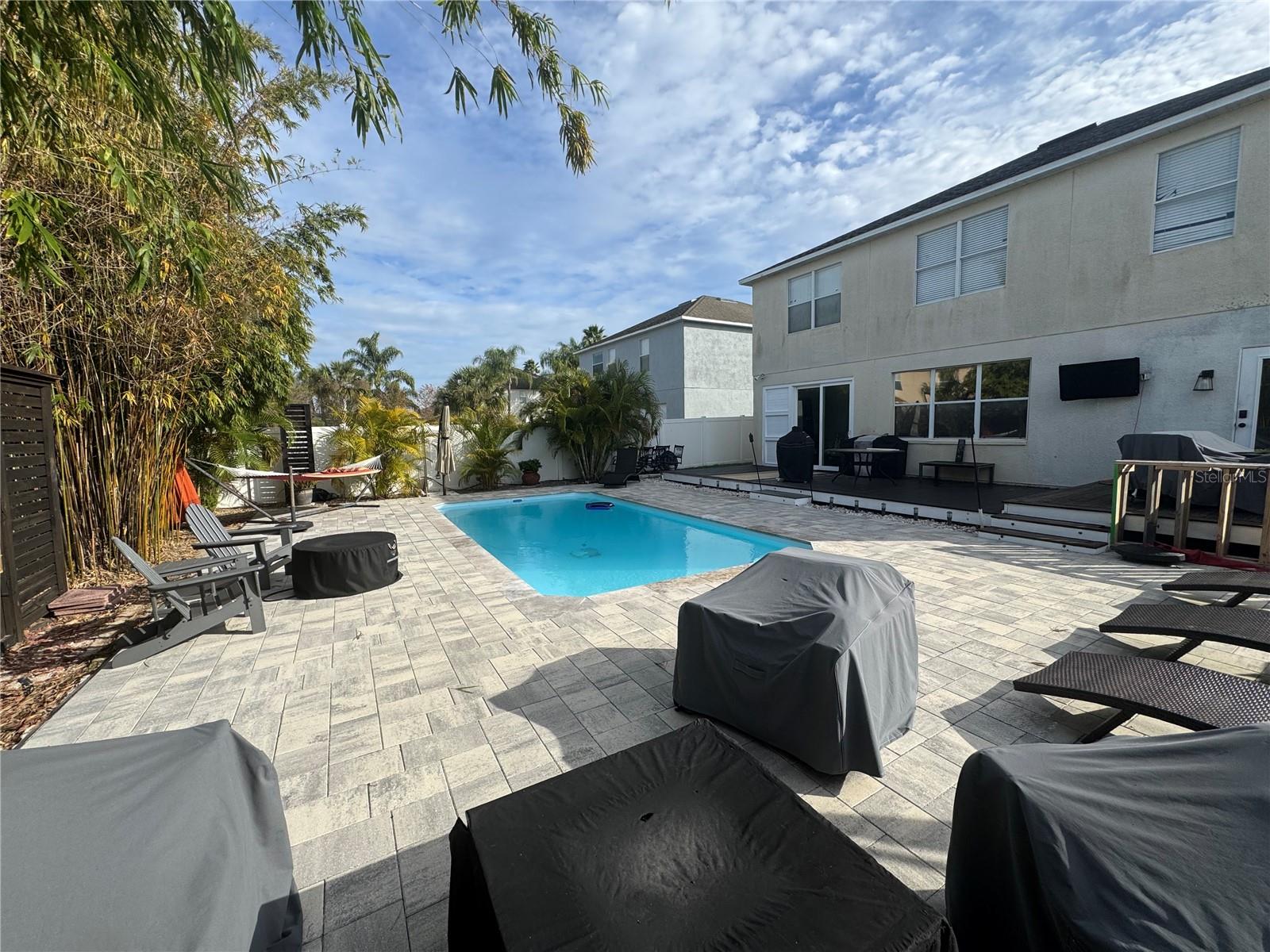 Tropical Oasis of a backyard with saltwater pool!
