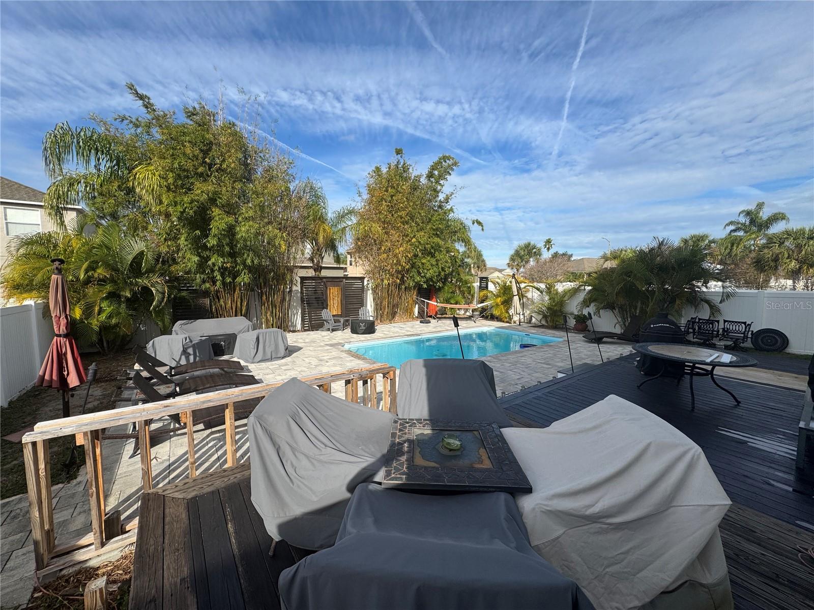 Tropical Oasis of a backyard with saltwater pool!