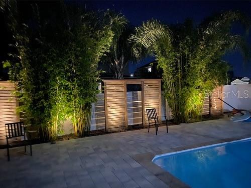 Tropical Oasis of a backyard with saltwater pool!