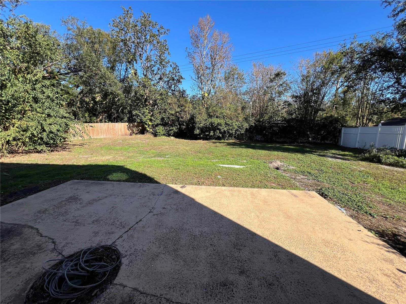 View from backdoor