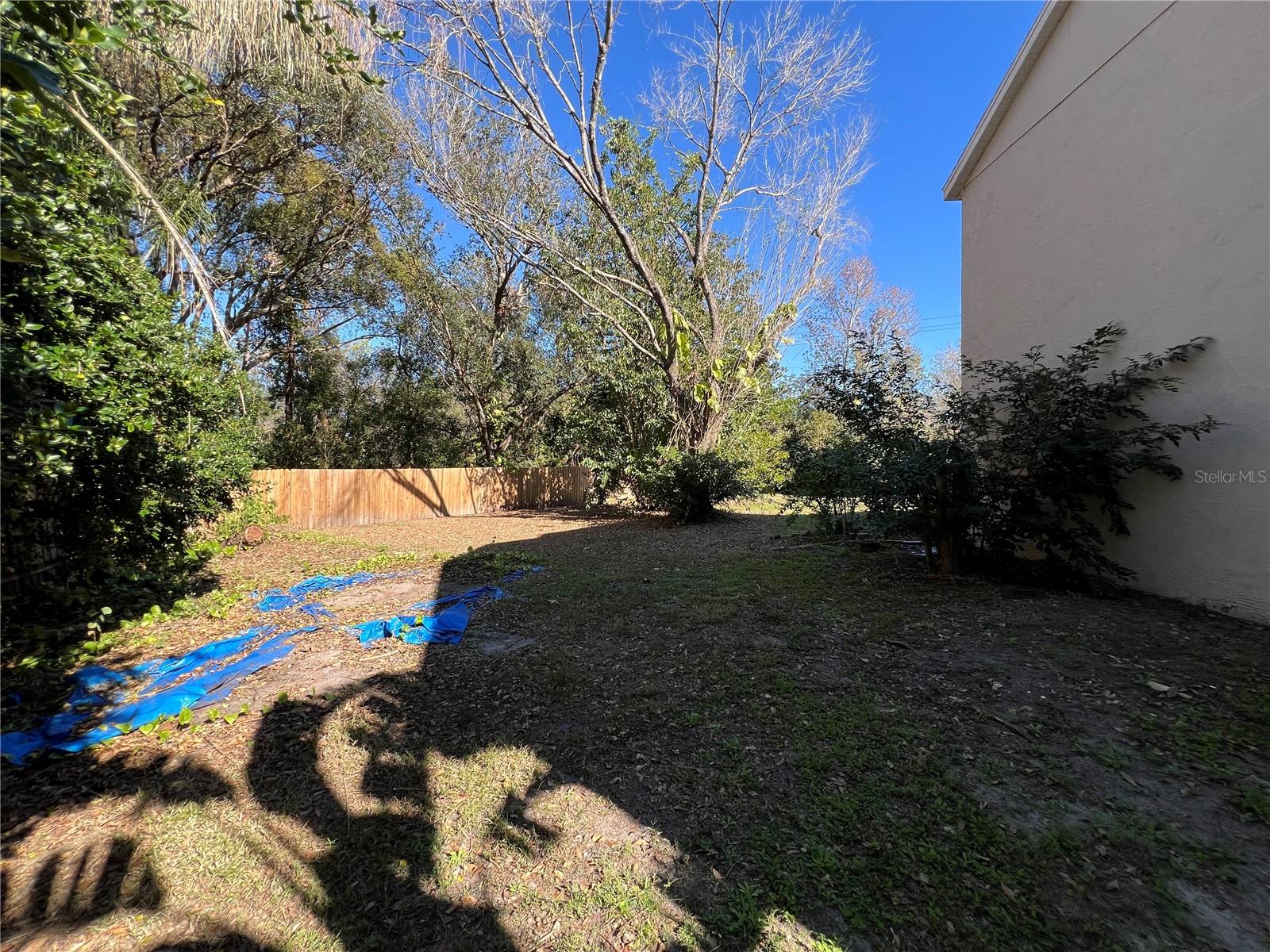 Backyard view