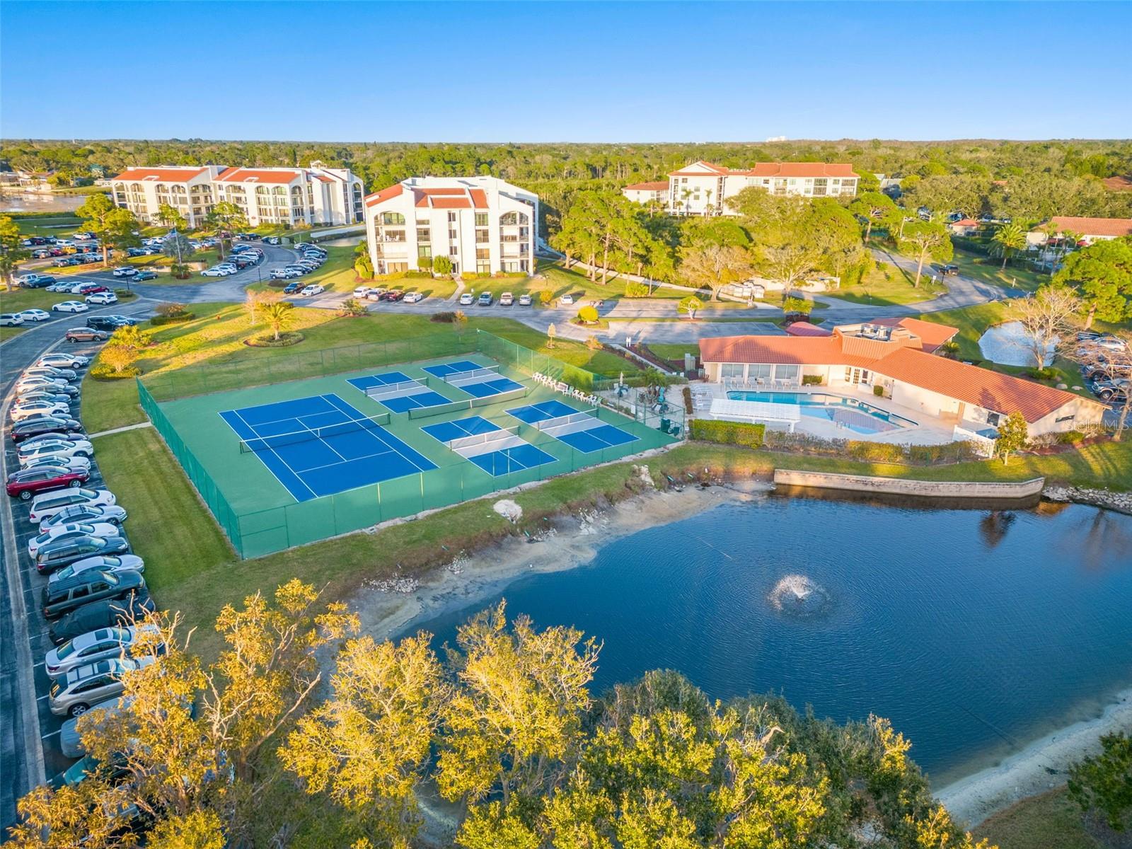 Pickle Ball Courts!