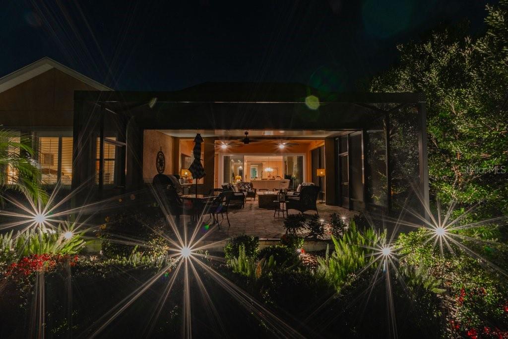 BACKYARD LANDSCAPE LIGHTING