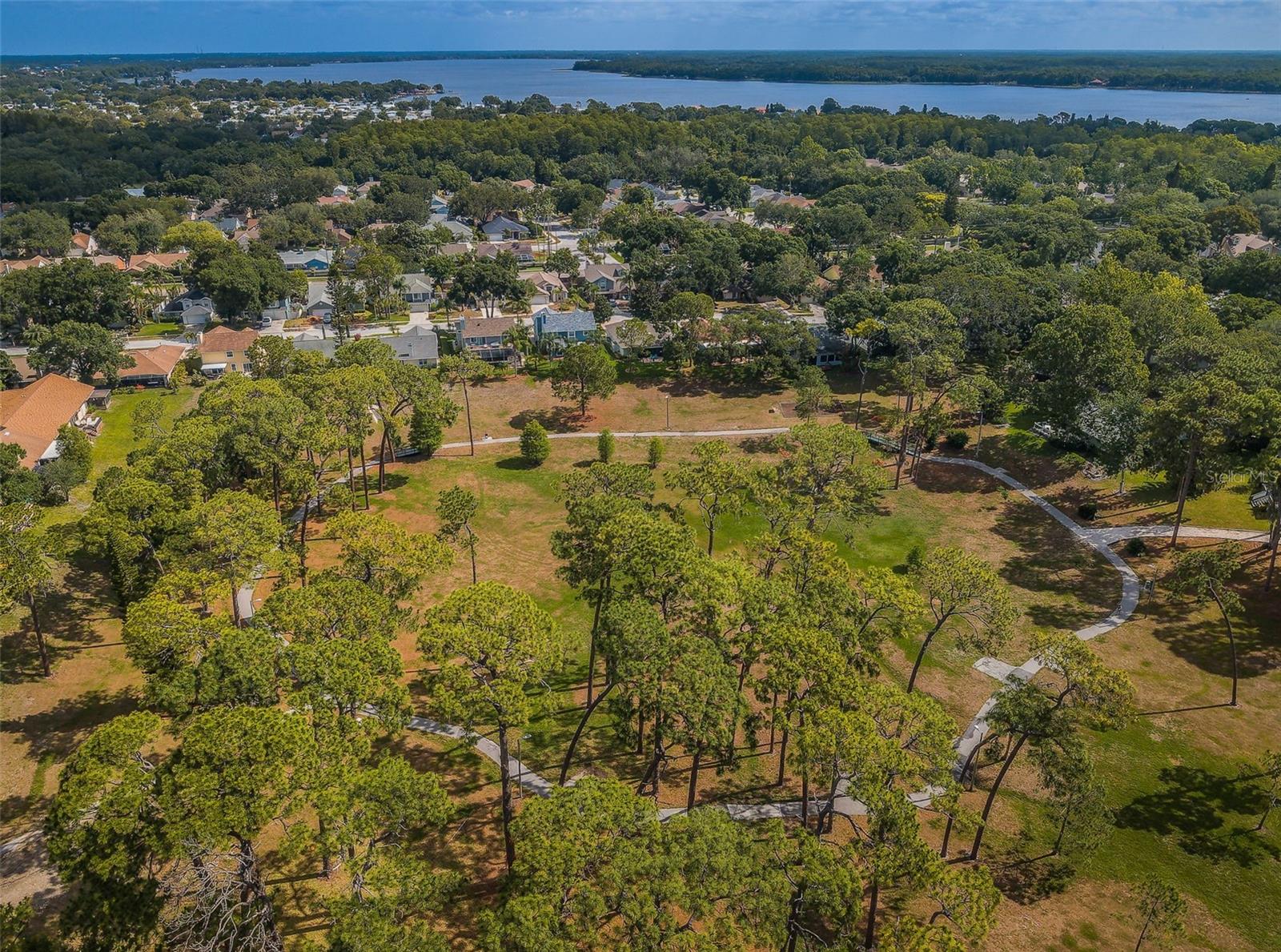 Aerial view of Bentley Park