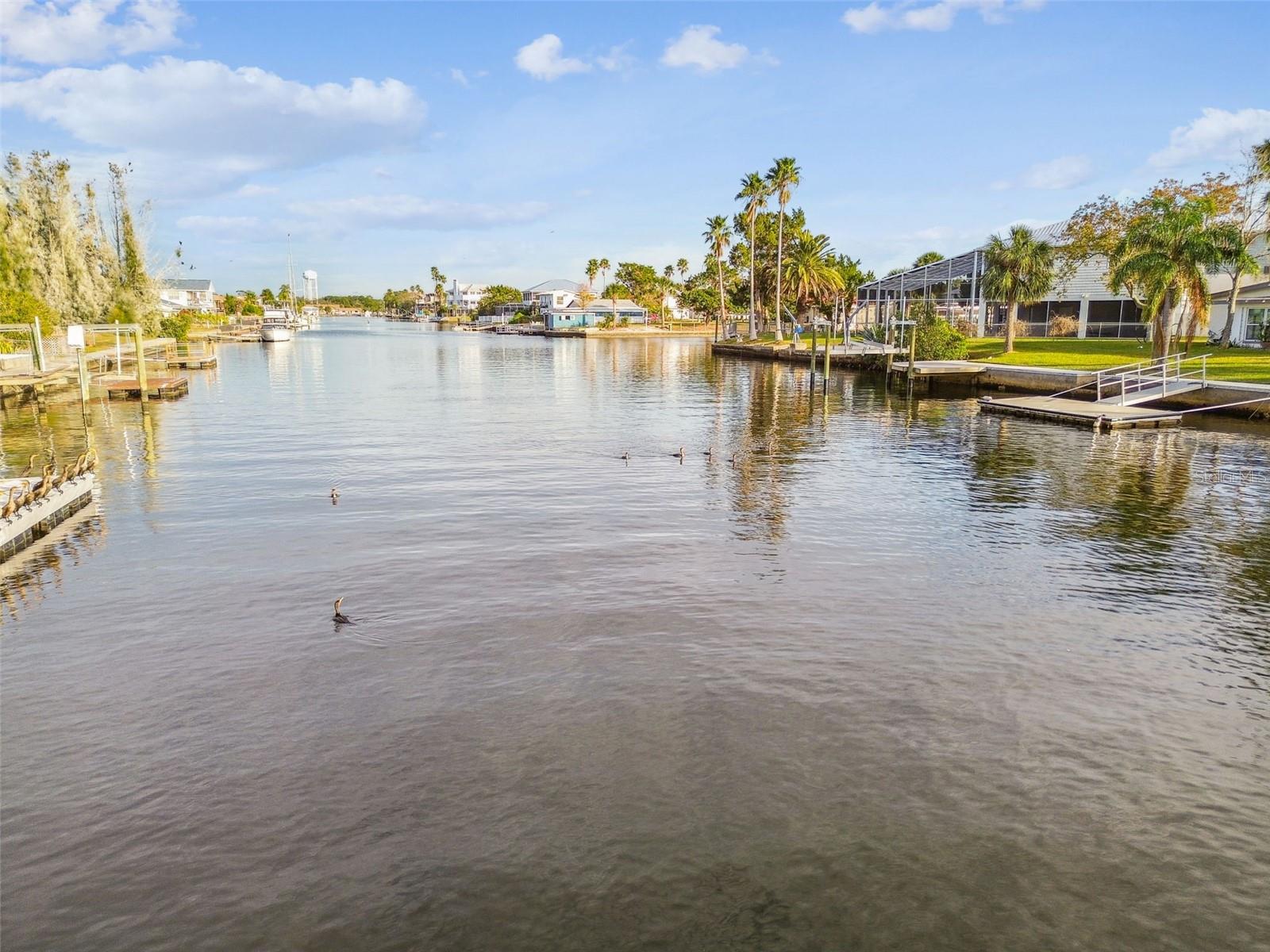 this could be your view from your dock!