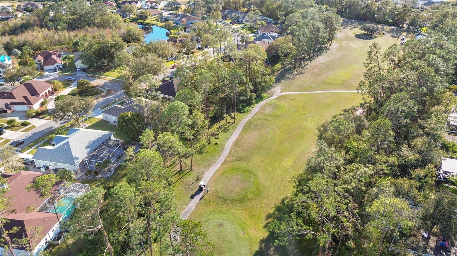 aerial view 5 -Golf green behind the house to the left (screened)