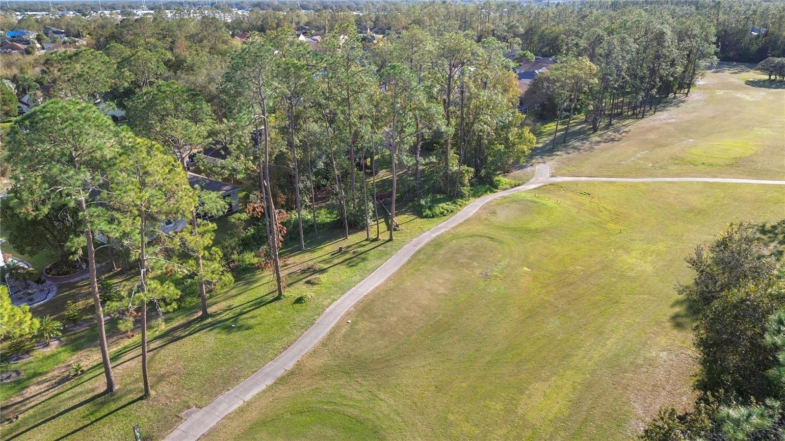 aerial view 7 back view of golf green -house is behind the trees to the left