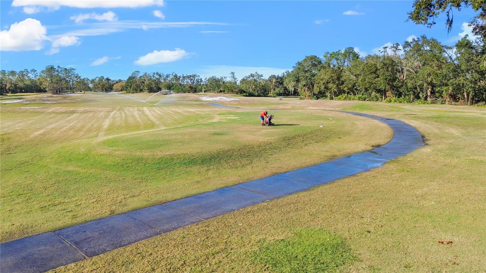 aerial view 14-golfer at play