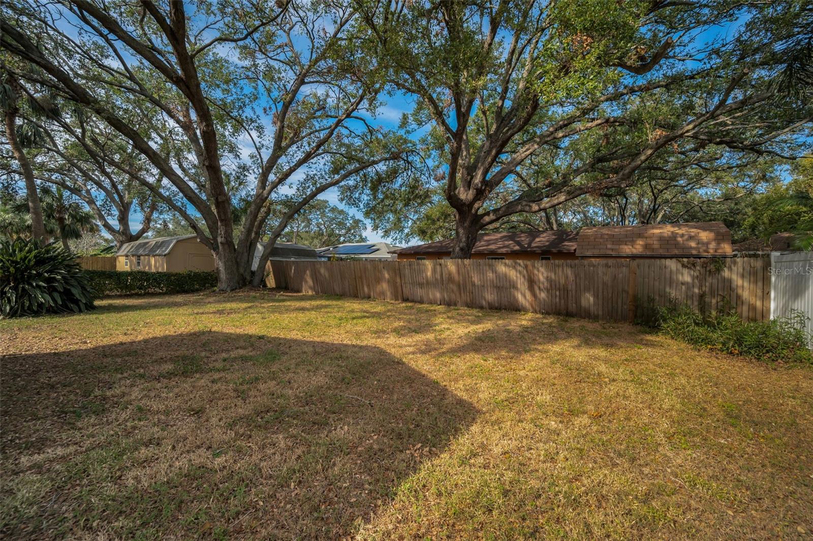 Spacious Backyard