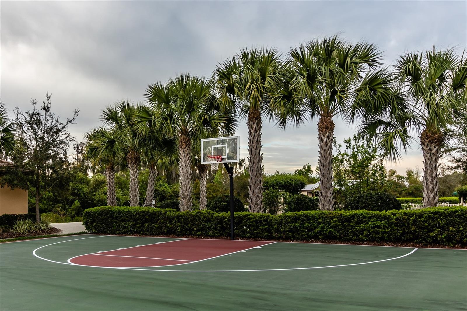 Half Court Basketball Court