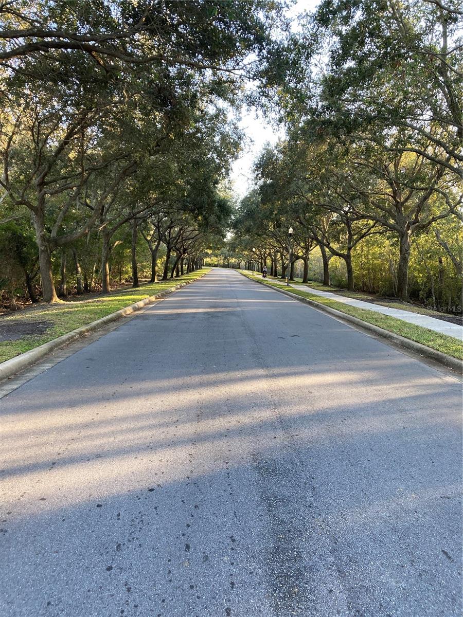 The Road Leading To Your New Home.