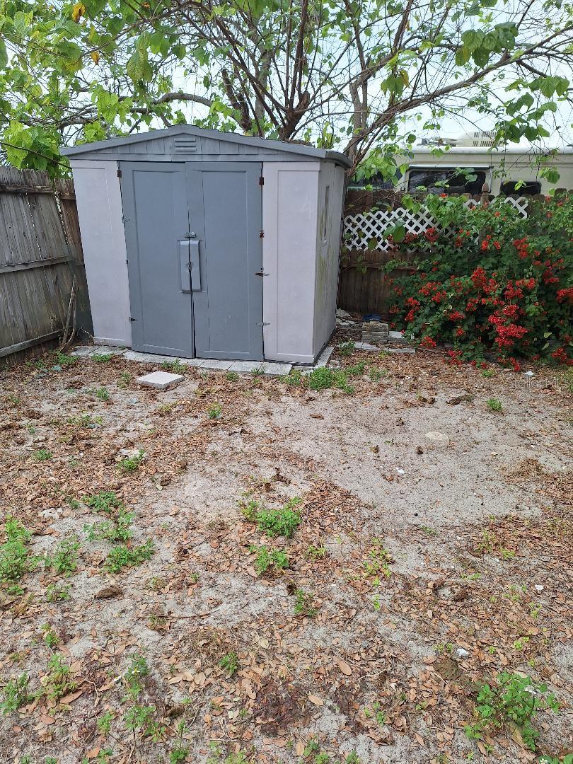 Shed backyard