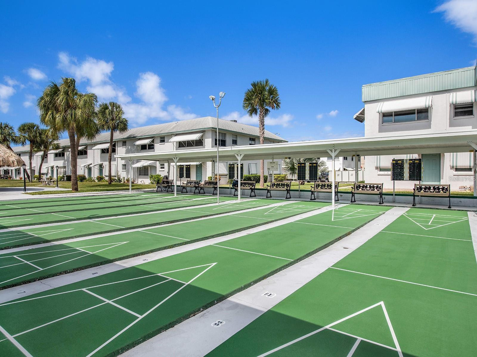 Shuffleboard