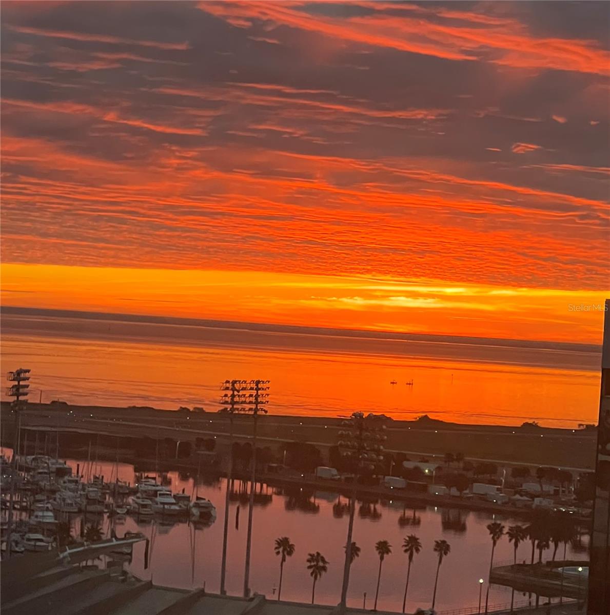 Sunrise Over Tampa Bay