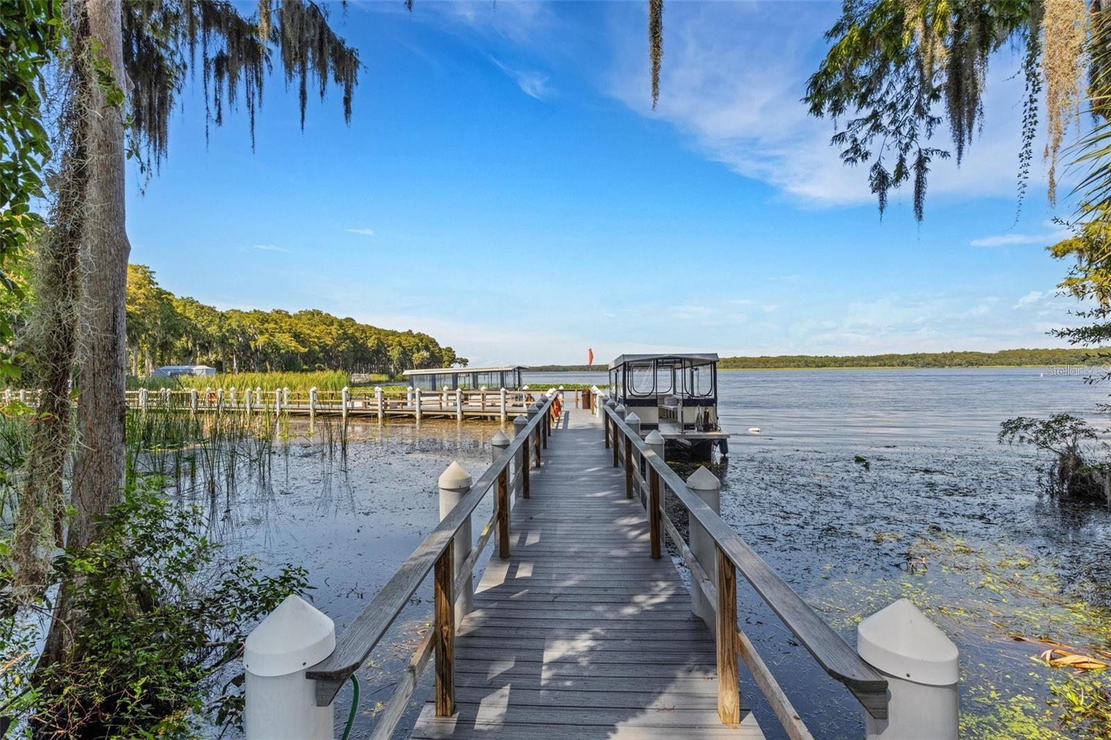 Community pontoon boats for tours of Lake Tarpon with a stop at a lakefront restaurant for lunch~