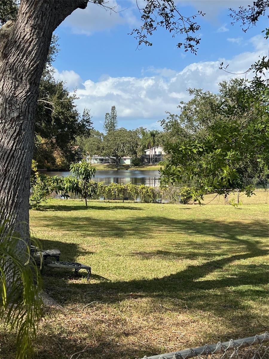 Pond view from rear lanai!