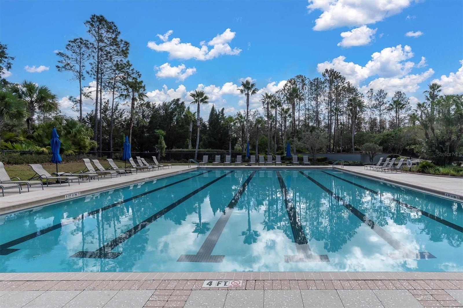 Pool area