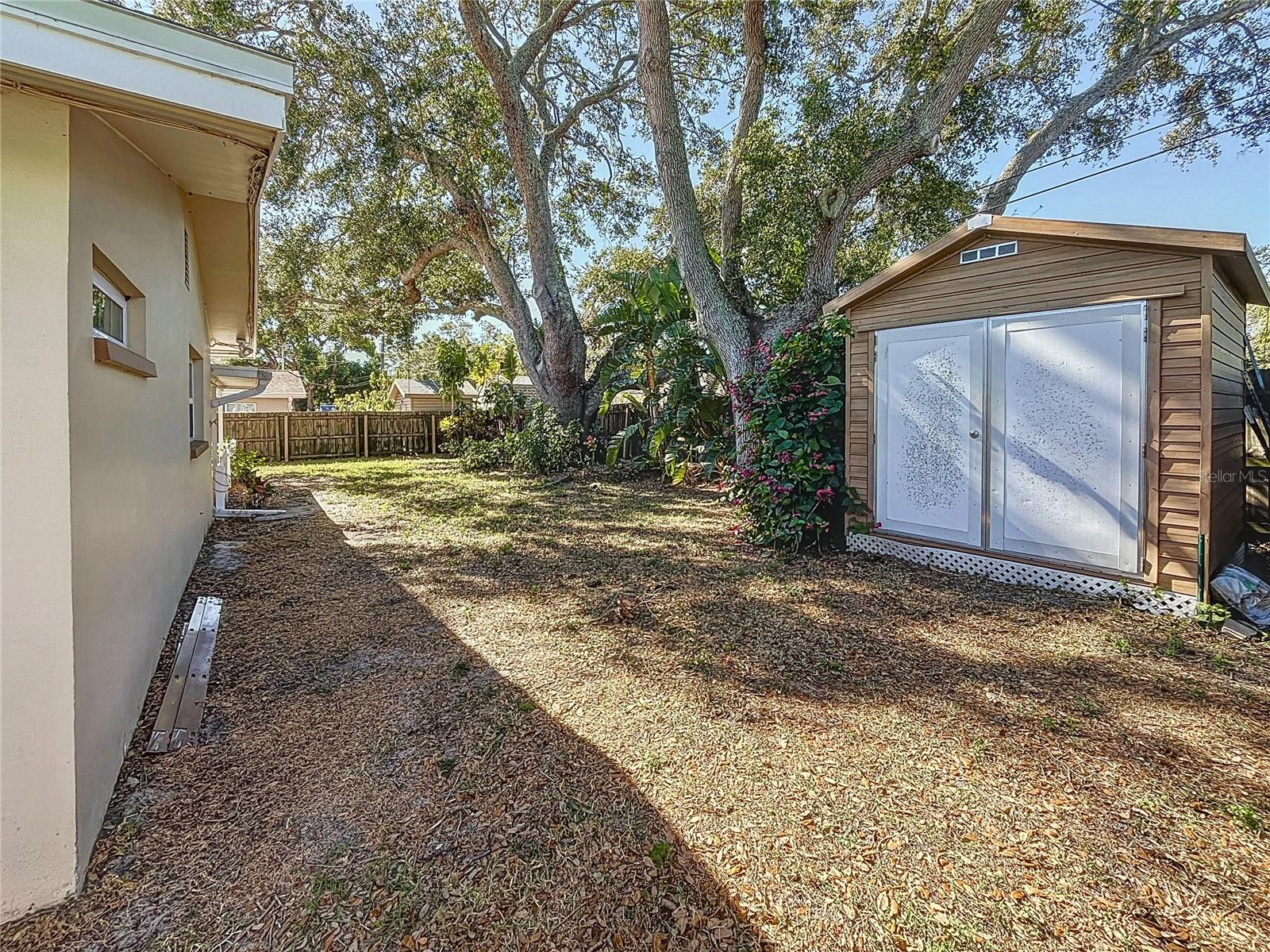 Rear Yard - Shed