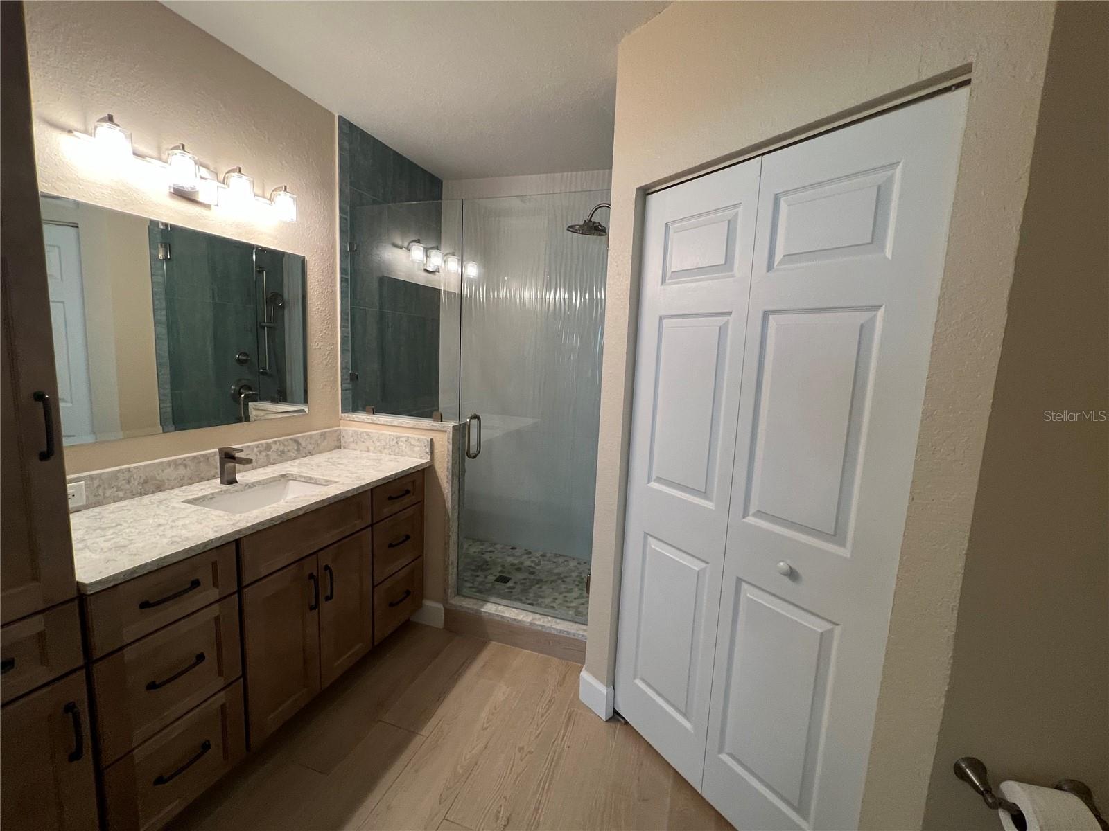 Master bathroom with a California closet