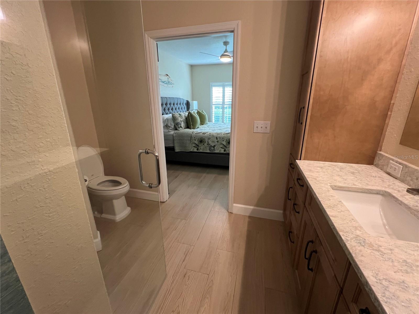 View from the shower out into the master bedroom