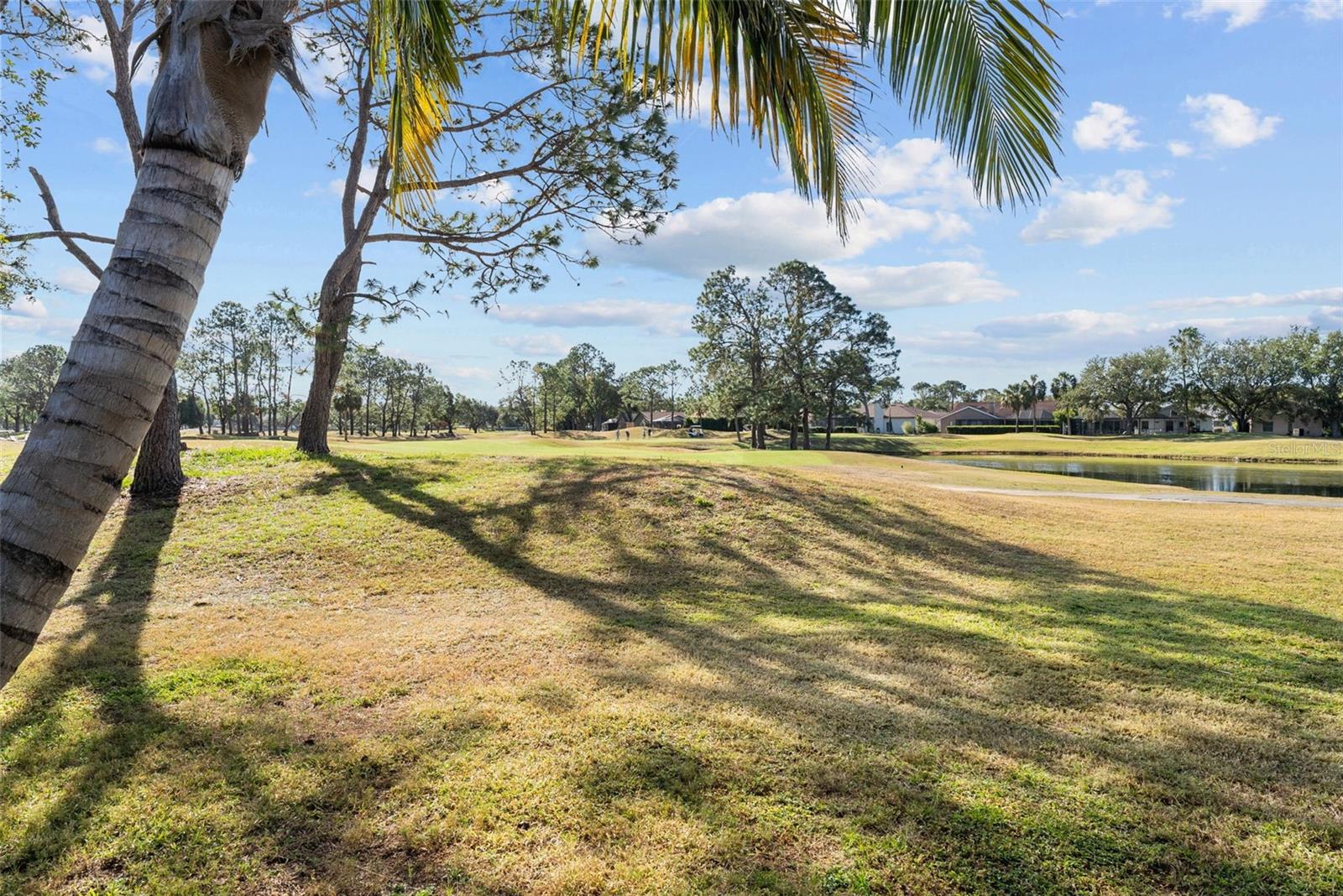 Golf course view