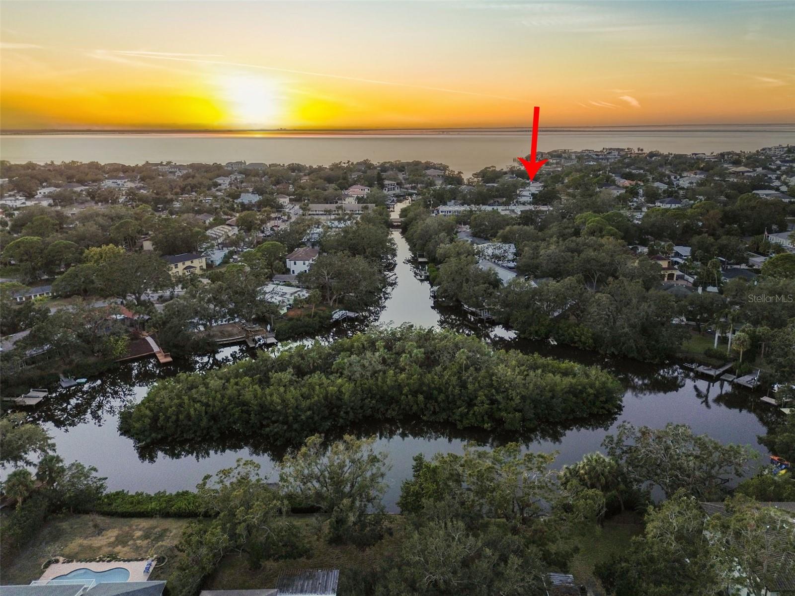 The spring-fed canal provides an amazing variety of sea life (Manatees daily, dolphins, etc.)