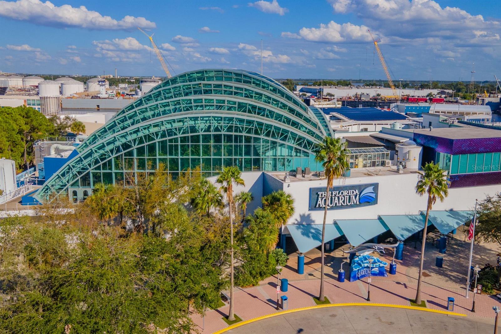 Florida Aquarium, 2 miles away