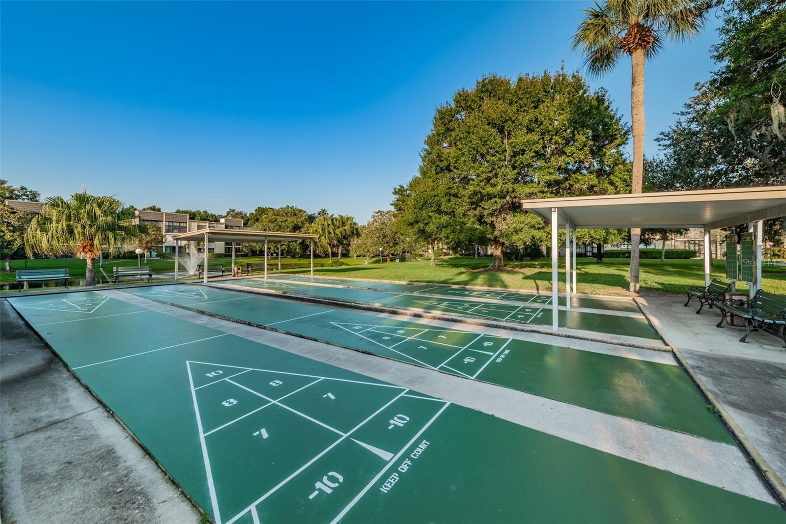 Shuffleboard