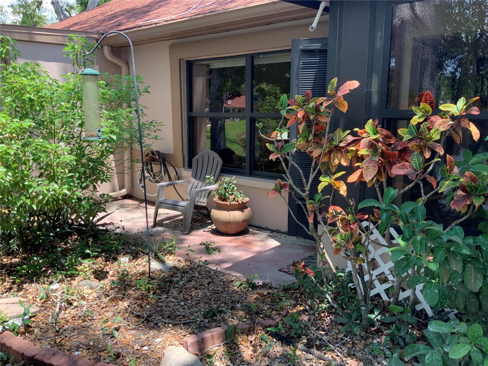 back patio