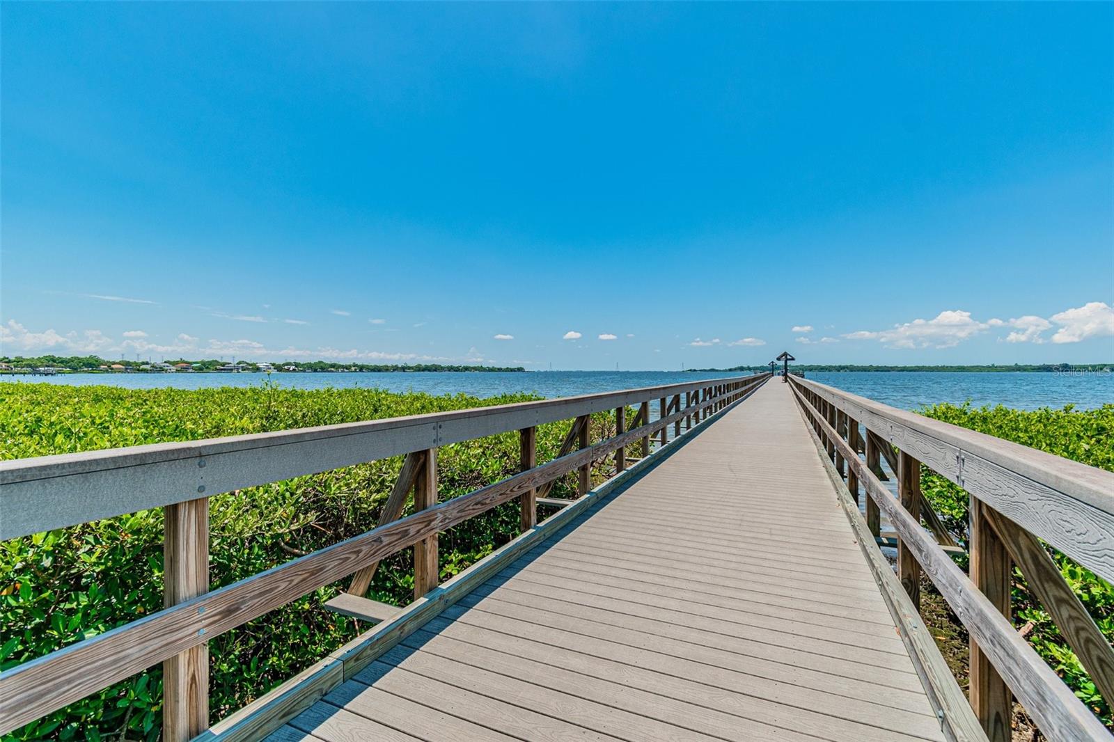 Adjacent to Safety Harbor and R.E Olds Park in Oldsmar