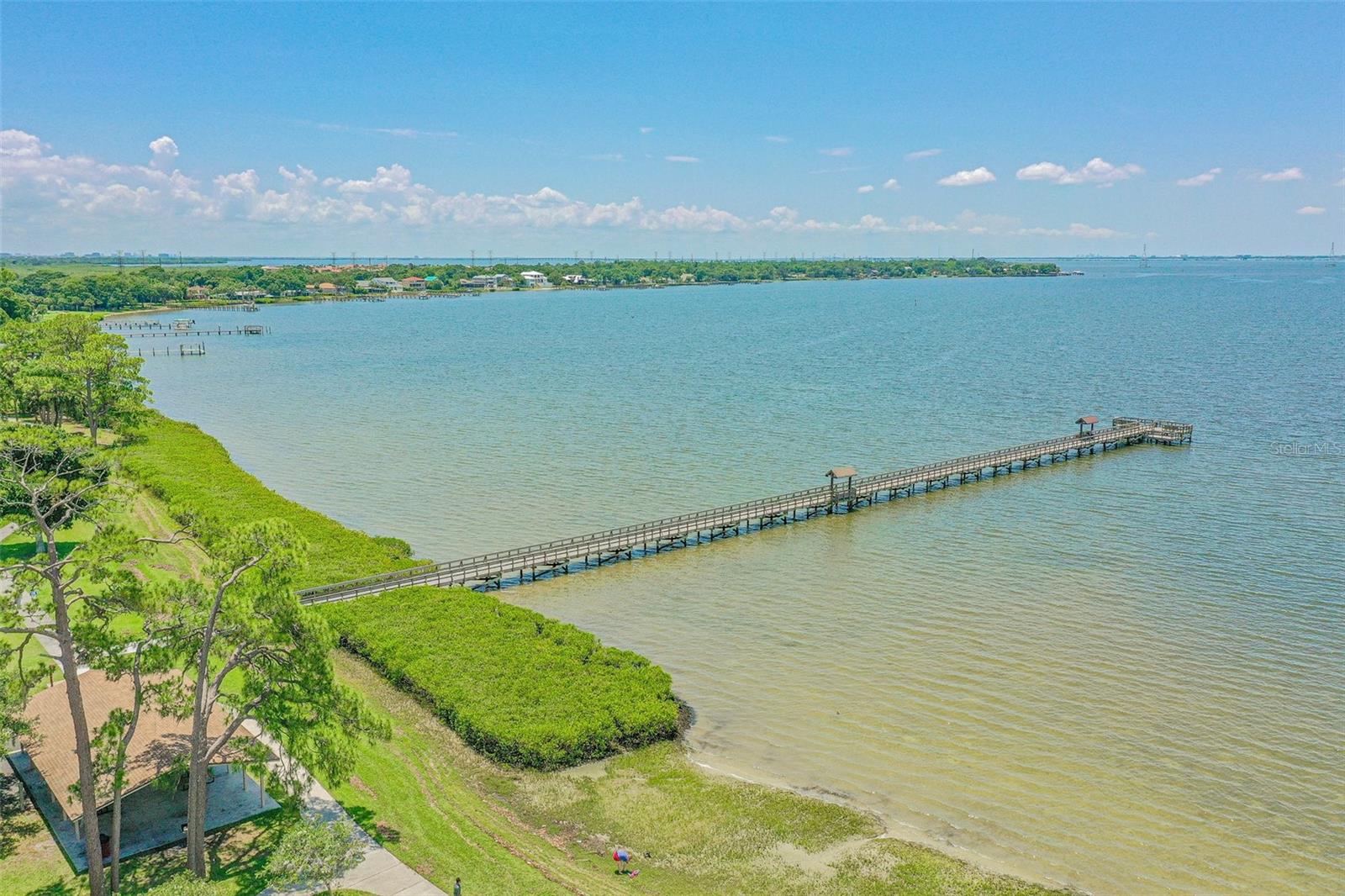 Adjacent to Safety Harbor and R.E Olds Park in Oldsmar