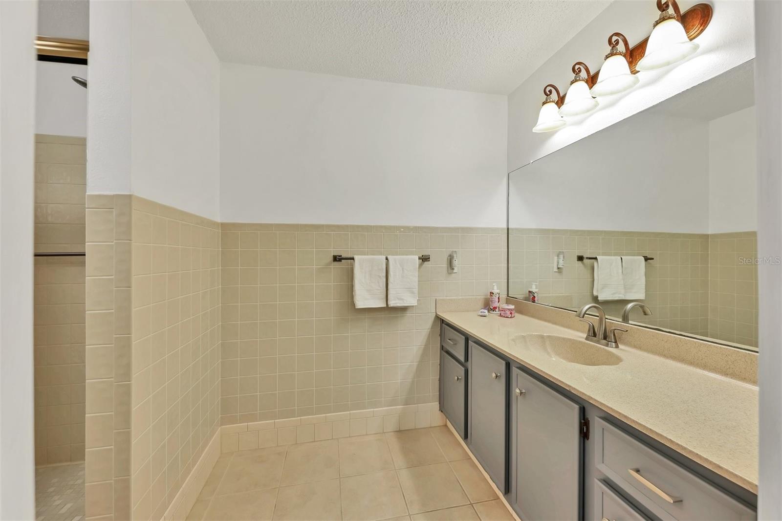 Master bathroom with large vanity, updated countertop, faucet, light and medicine cabient (not shown)