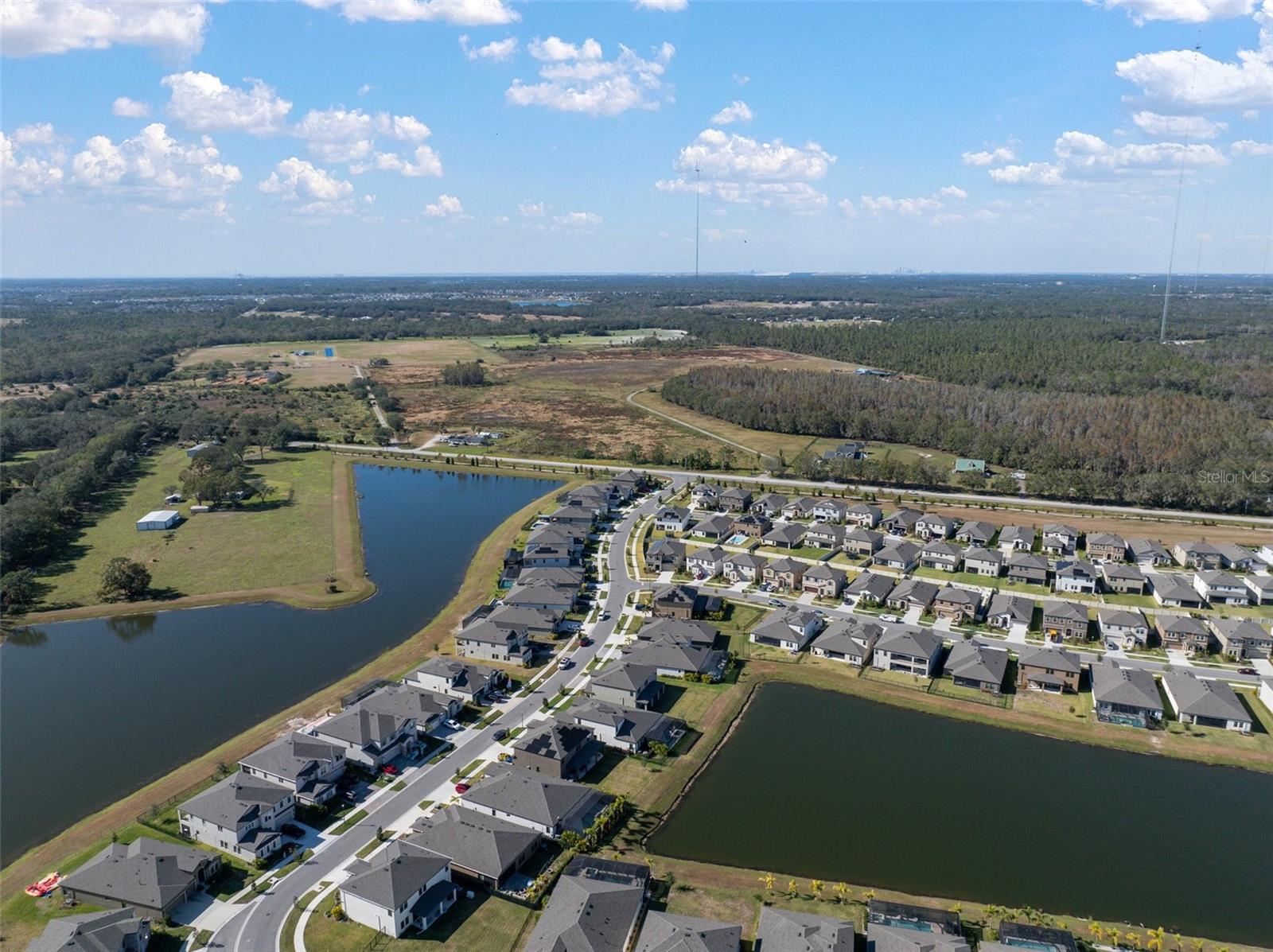 Wonderful Pond View