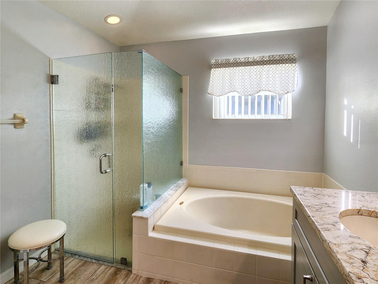 Master Bath Walk-in Shower and Soaking Tub