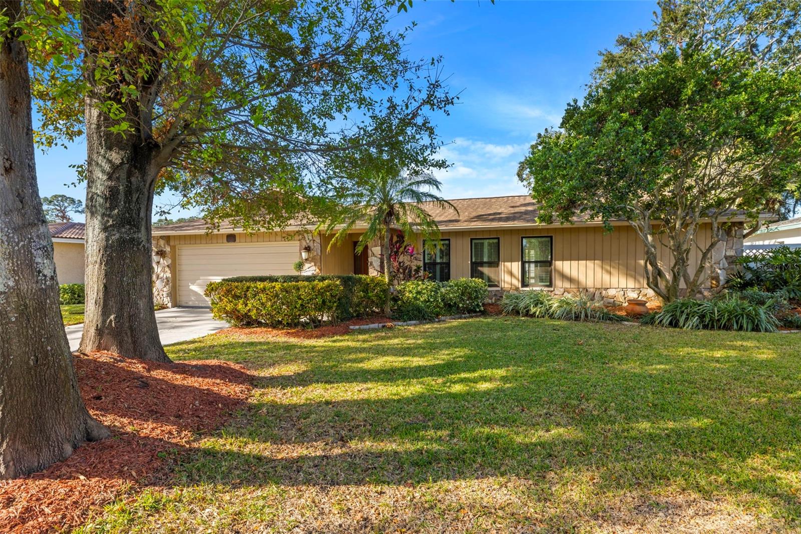 Mature oak accentuates the curb appeal and landscaping