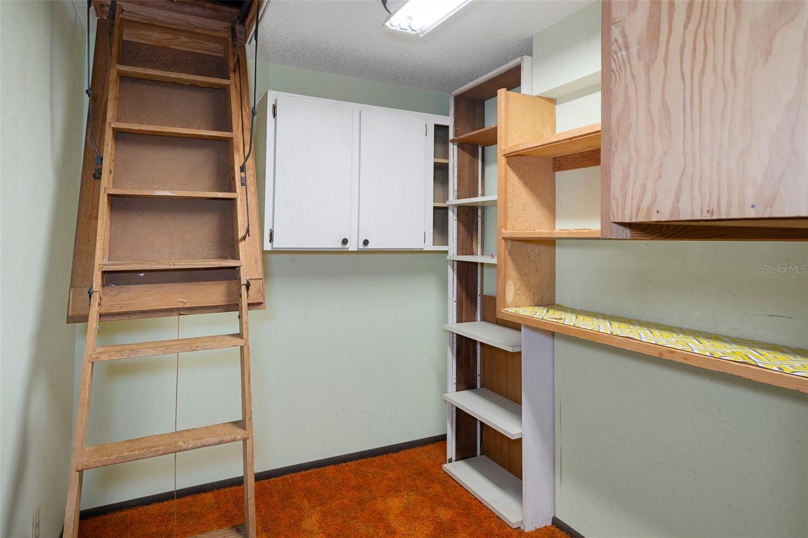 Primary suite hobby closet with pull down attic access