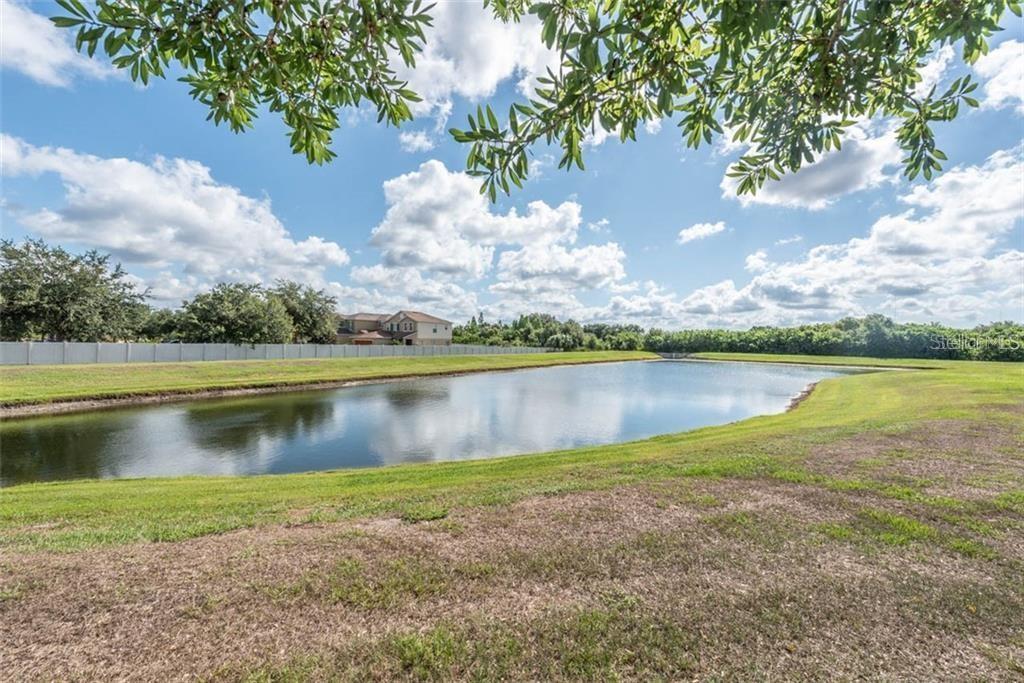 pond view