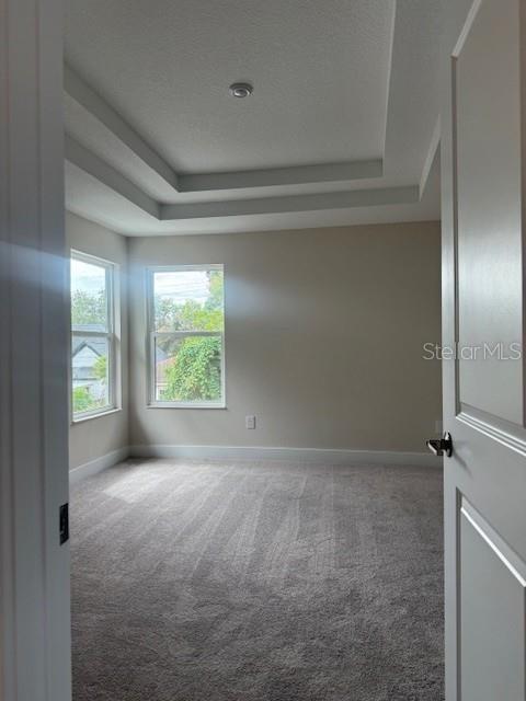 Tray ceilings