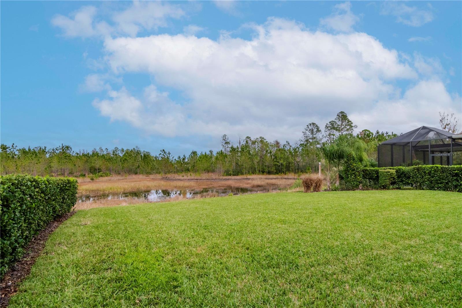 Massive Back Yard