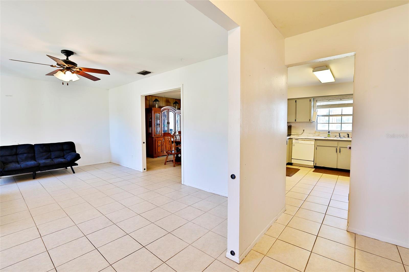 Foyer and Living Room