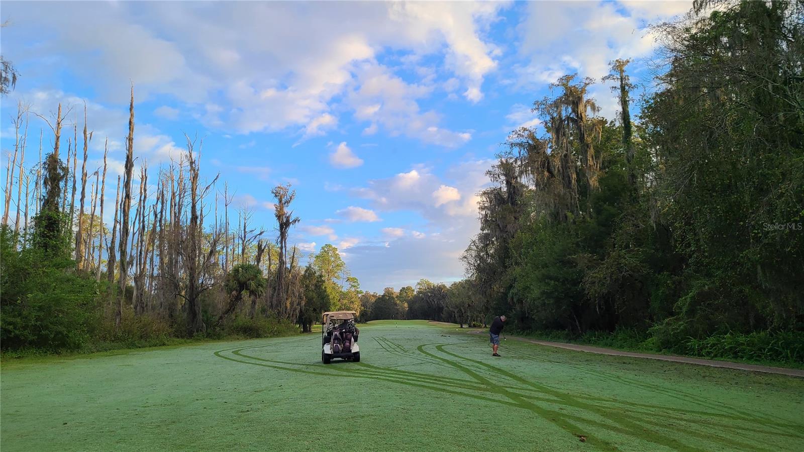 Area Golf