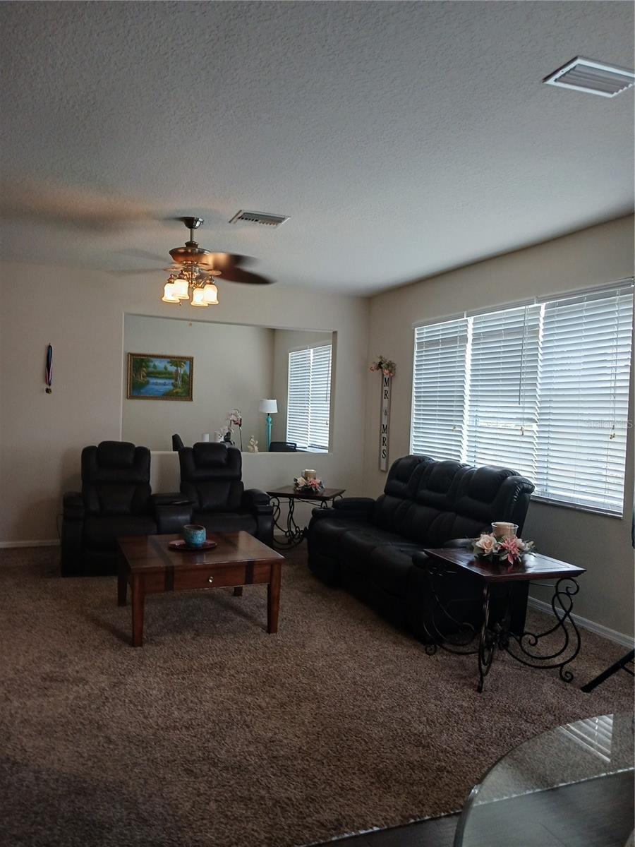 Living room/Kitchen combo