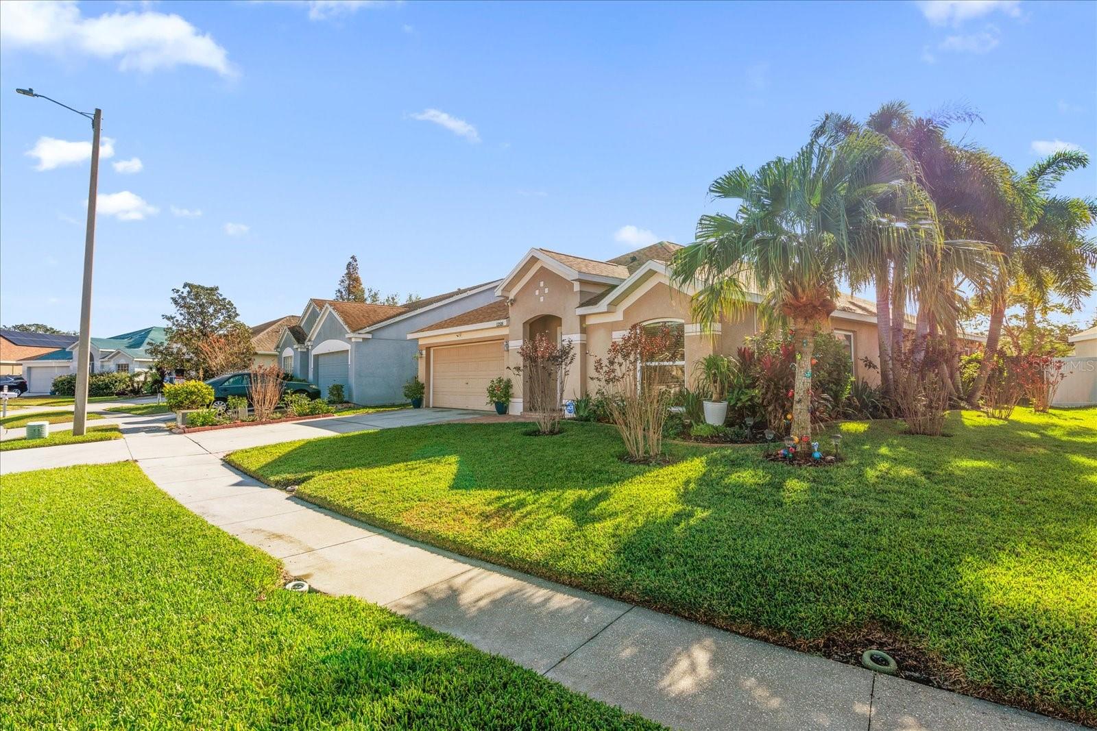 Palm trees and  flowering landscaping , sidewalk