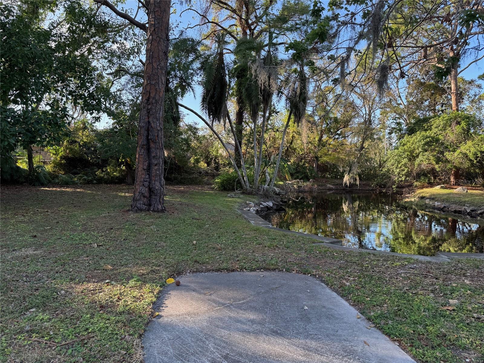 Fish Pond on rear of property